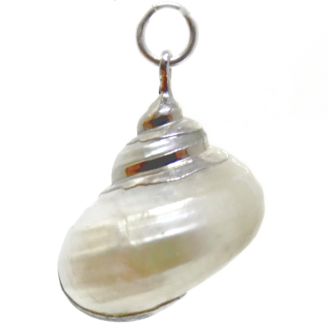 White Spiral Shell with Silver